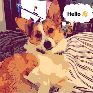 Meet your Posher, Lynn